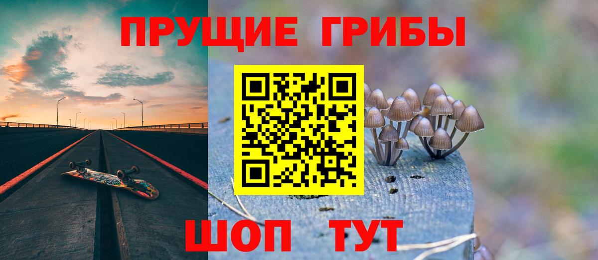 Елец  Псилоцибиновые грибы прущие грибы  наркотики  Вход с VPN  Галлюциногенные грибы прущие грибы 